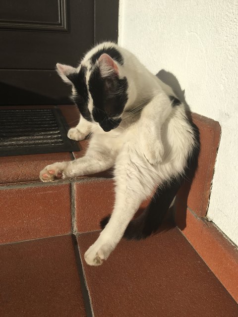 Erstes Sonnenbad