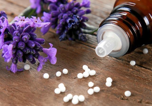 Vortrag "Homöopathie für Kinder" am 18. April 2018 in Molln.