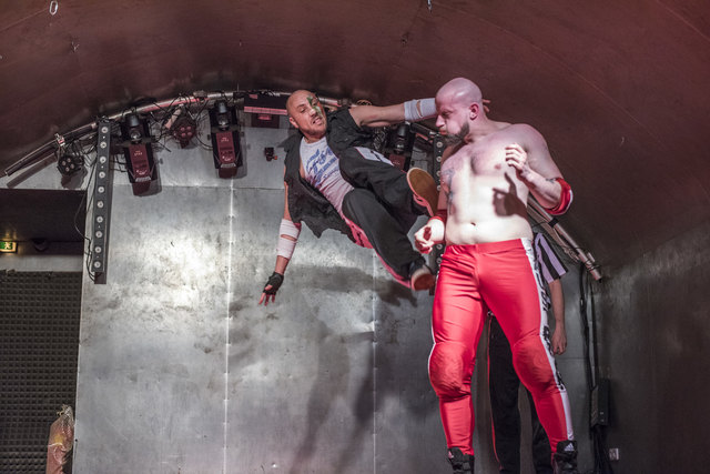 Der "Itaker" Zanoni fordert den Titelverteidiger "Austrian Rebel" im Weberknecht heraus.