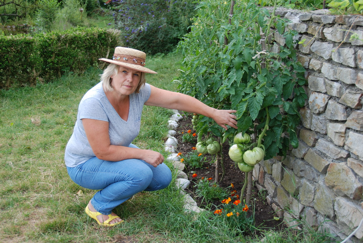 Gesunde Pflanzen Ziehen Nicht Zu Fruh Ins Freie Setzen Steyr