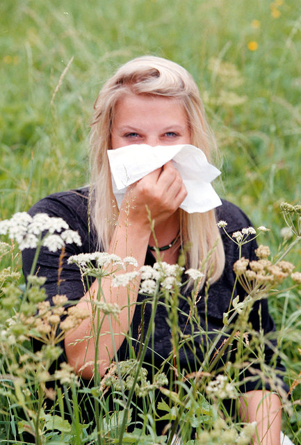 So schön es ist wenn alles blüht - die Taschentücher will man sich sparen. | Foto: Neumayr