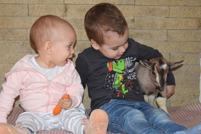 Nick und Nathalies persönliches Osterlamm