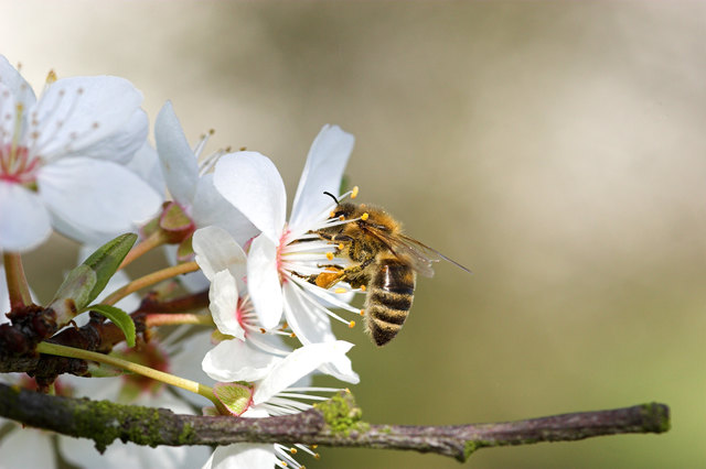 Foto: sharkmk/panthermedia.net