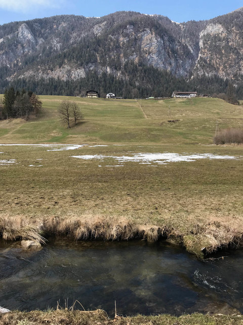 "Wohnen, wo andere Urlaub machen" ist wohl auch ein Bibermotto in Tirol. | Foto: ZOOM.TIROL