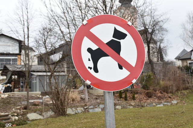 Eine Zone des Tiebelparks soll "Hunde-frei" bleiben