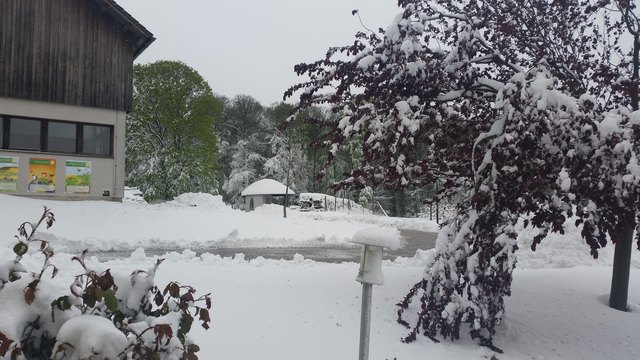 Wintereinbruch am Annahof in Laab, April 2017. | Foto: Schabbauer