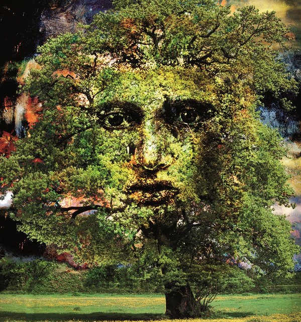 Makis Warlamis Ausstellung WUnder Wald