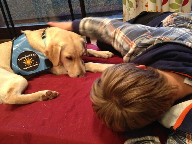 Seit 2011 nutzt Birgit Eder Hunde für ihre Therapien. Das kommt bei jung und alt sehr gut an. | Foto: Bigit Eder