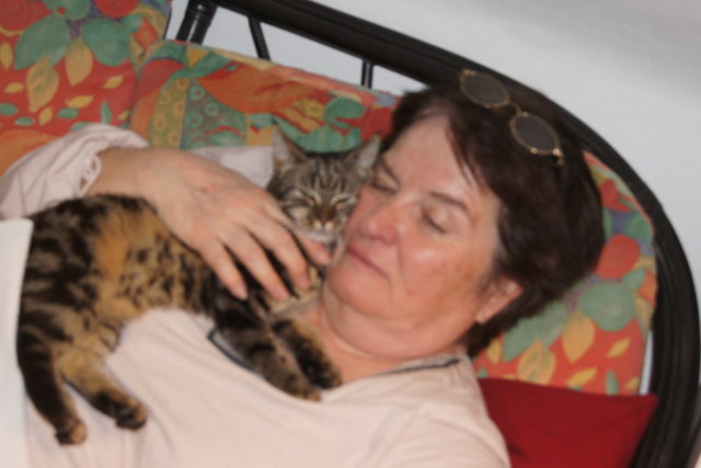 Der liebste  familiäre Moment für unsere Familie -Mittagsschläfchen mit Schnurrli