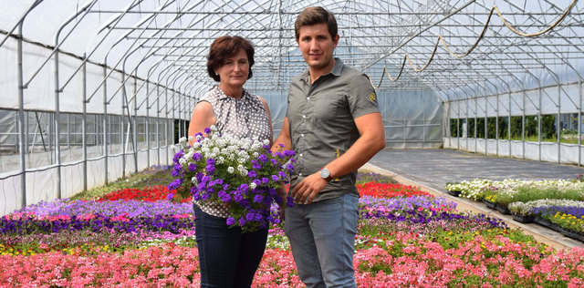 Blumen-Team: Elfriede und Franz Valentin Kölbl sorgen für die heimischen Blumen, die in Wundschuh (Stmk) gepflanzt werden. | Foto: WOCHE