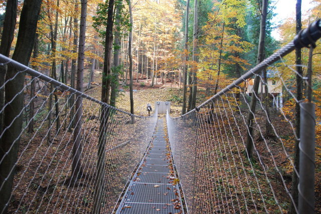 Die Altenbachklamm wird von vielen Besuchern aus nah und fern regelmäßig erwandert. | Foto: Altenbachklamm