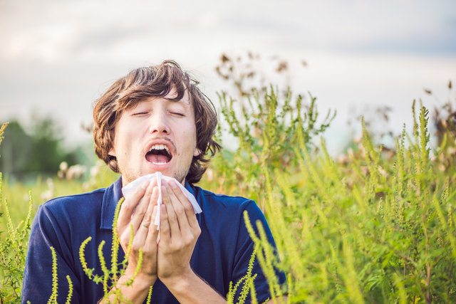 Menschen, die auf Gräserpollen allergisch reagieren, vertragen oft auch Paradeiser und Hülsenfrüchte schlecht. | Foto: Fotolia / galitskaya