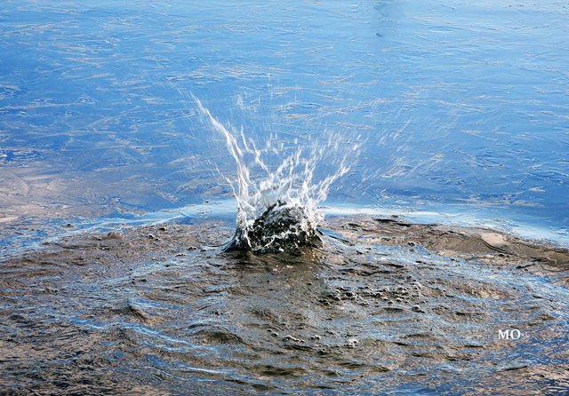 Wasserfontäne nach dem ein Stein im See gelandet ist! Schwarzlsee bei Graz