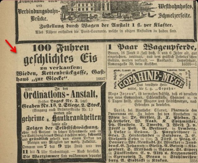 Wiener Fremdenblatt vom 9.7.1869