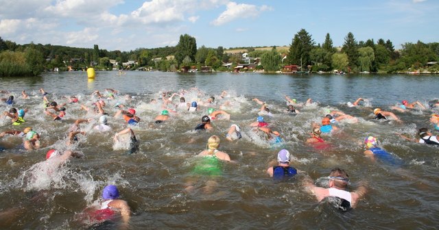 Im Pöttschinger See sind 300 oder 800 Meter zu schwimmen.