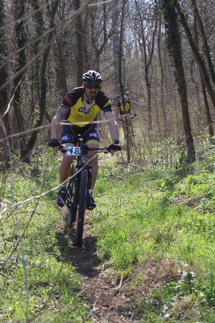 Foto: Martina Luckenberger