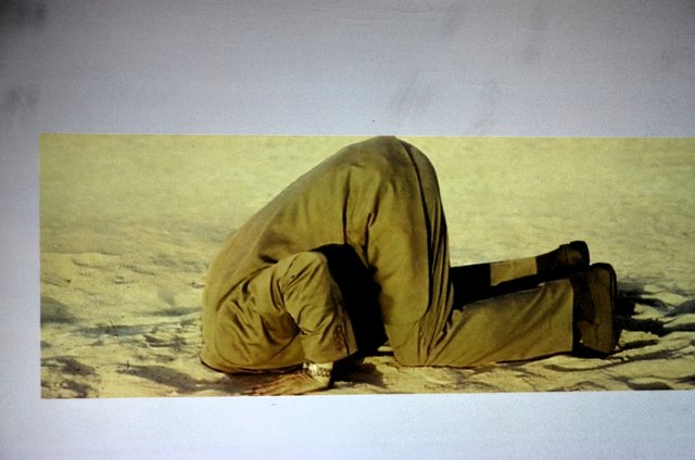 Was man auf keinen Fall tun sollte: Den Kopf in den Sand stecken