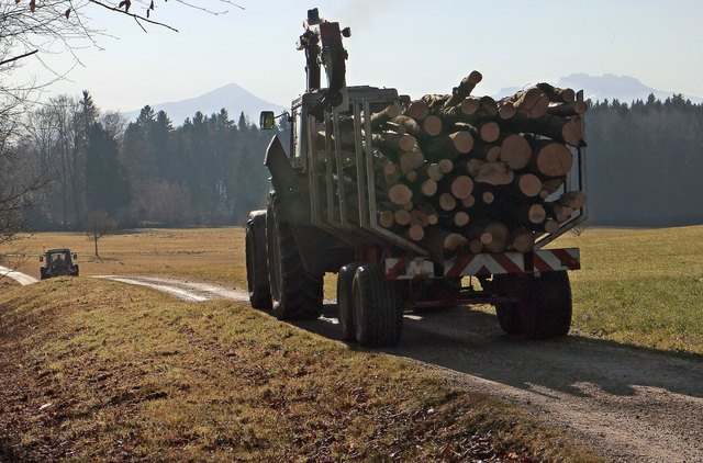 Schwerer Stromunfall bei Forstarbeiten in Köstendorf