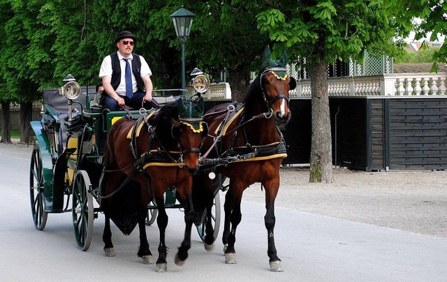Fiakerrundfahrten im Schönbrunner Schloßpark.