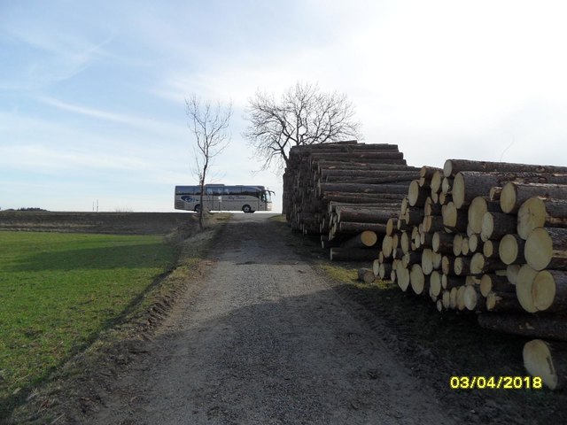 Zur Verdeutlichung des Volumens: Ein Linienbus unmittelbar hinter dem Holzstoß.