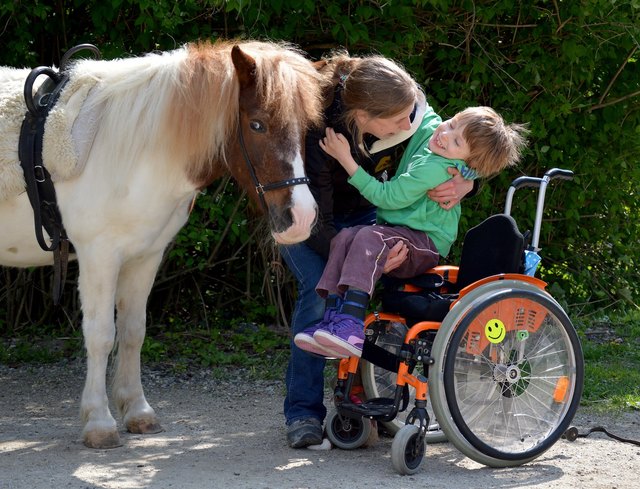 18 Pferde gibt es auf der Baumgartner Höhe. Hier wird die sogenannte Equotherapie für Kinder angeboten. | Foto: e.motion/Equotherapie