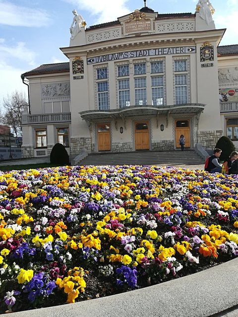 Das Stadttheater mit wunderbarer Stiefmütterchenoase