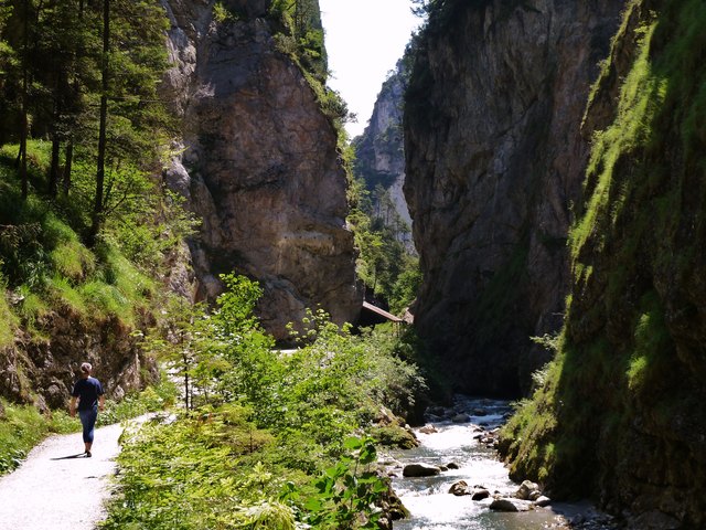 TVB Wildschönau