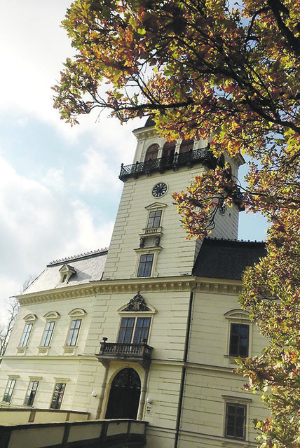 Am 12. Mai startet die neue Ausstellung im Schloss Tollet. | Foto: Haslberger/BRS