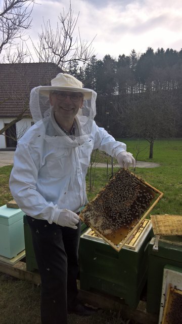 Bienenstiche kommen öfter vor und sollen sogar gesund sein.