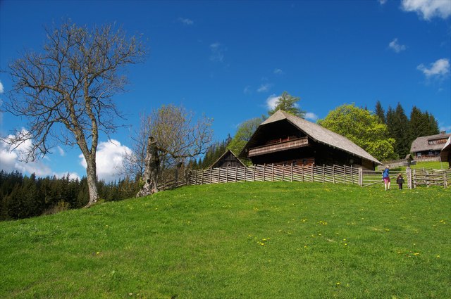 Der Kluppeneggerhof, das Heimathaus von Peter Rosegger, ist in einer einstündigen Wanderung erreicht. | Foto: Steininger