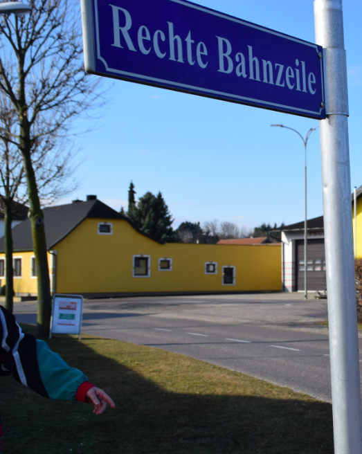 Anrainerin beklagt Hundehaufen auf Grünstreifen.