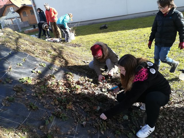 Foto: NMS St. Michael