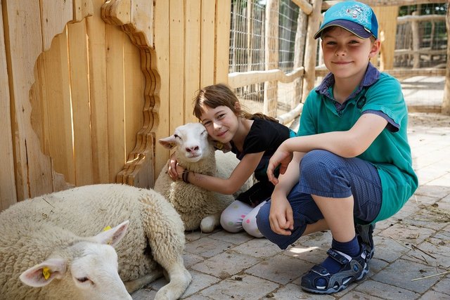 Tante Mizzi | Foto: Hollunder