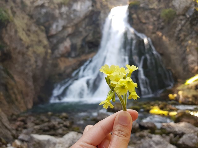 Gollinger Wasserfall