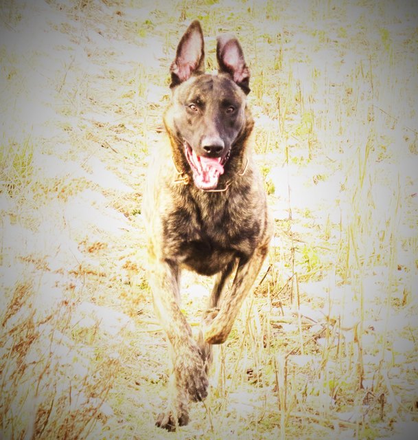 DON BOSCO geniesst den herrlichen Frühlingstag!