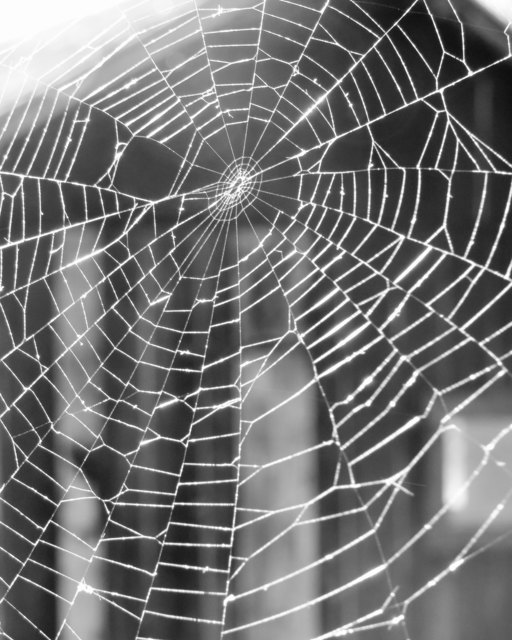 Verdeckte Gartenhütte