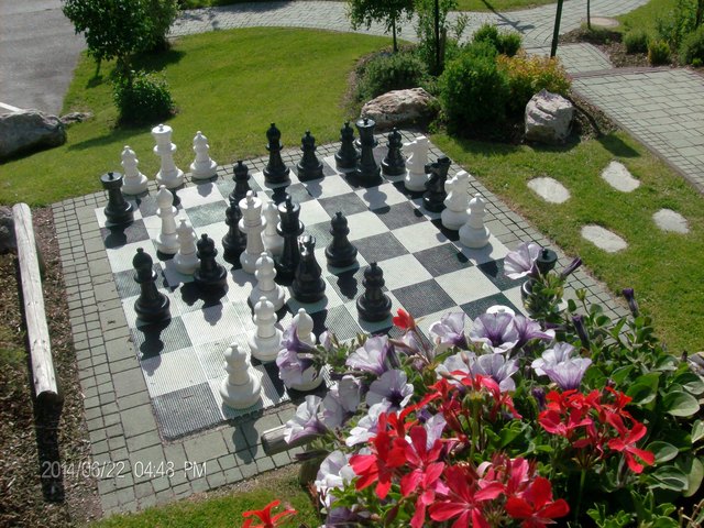Schach