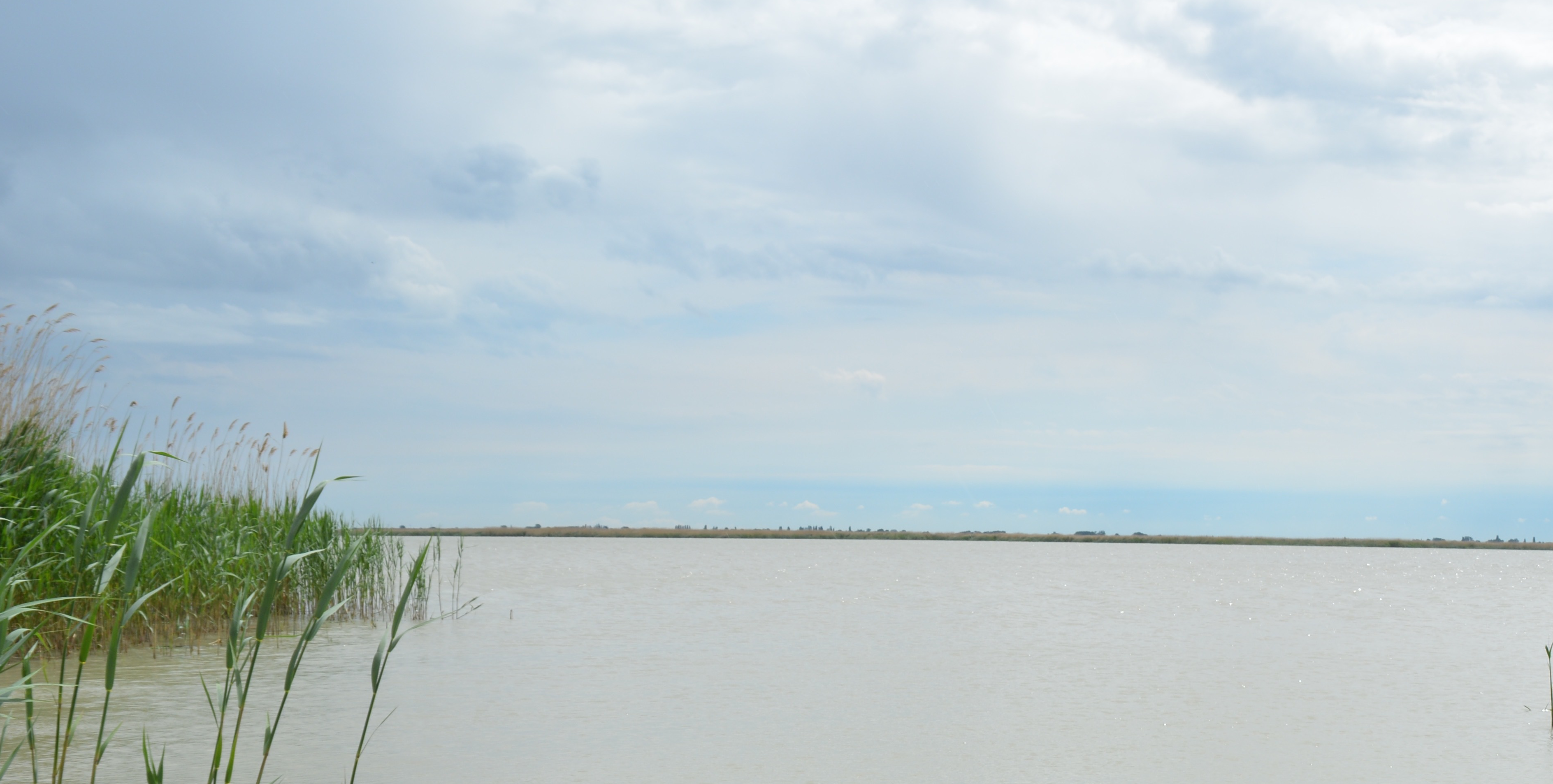 Schrecklicher Fund im Neusiedler See.