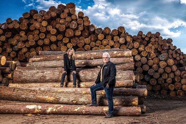 Bei Zwickl dreht sich alles rund ums Holz | Foto: Zwickl