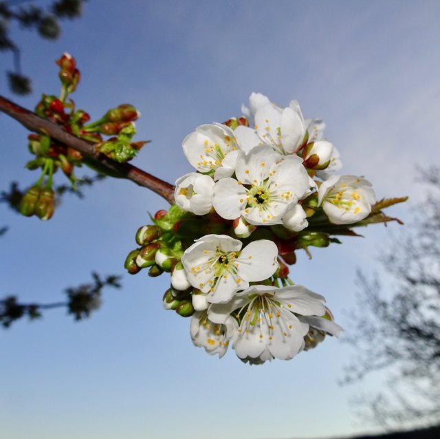 14.April 2018