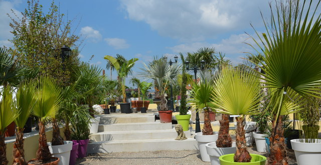 Foto: Fotos (6): Privat