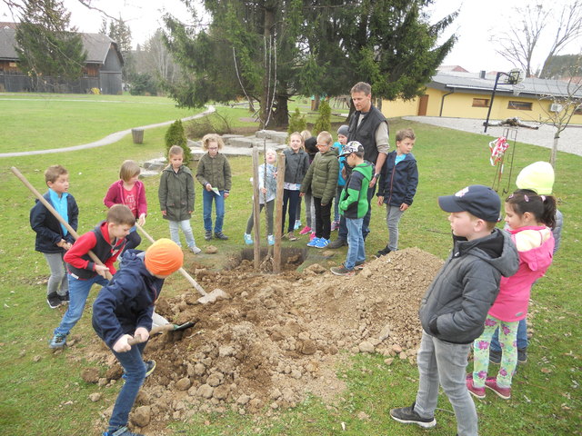 Alle Kinder erhielten als Dank für ihre tolle Arbeit einen Apfel. | Foto: Obst- und Gartenbauverein Berndorf