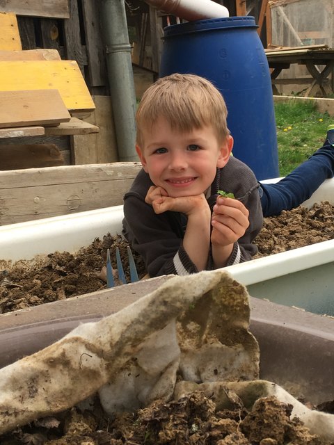 Gabriel hat ein 4 blättriges Kleeblatt gefunden!