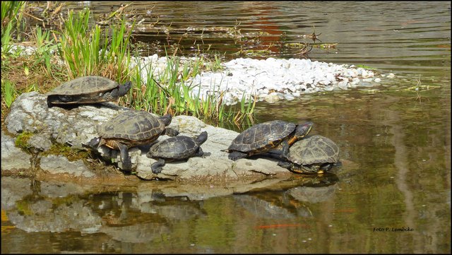 ... und vielleicht mit der Freundin schmusen ;)