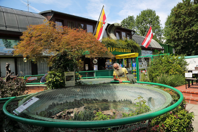 Centauri Alpha live im Reptilienzoo Happ in Klagenfurt