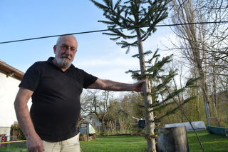 Senioren kennenlernen aus velden am wrther see, Partnersuche regional Purgstall an der erlauf single brse. Single mnner bezirk aus weienstein. Senioren kennenlernen aus velden am wrther see Sex treff