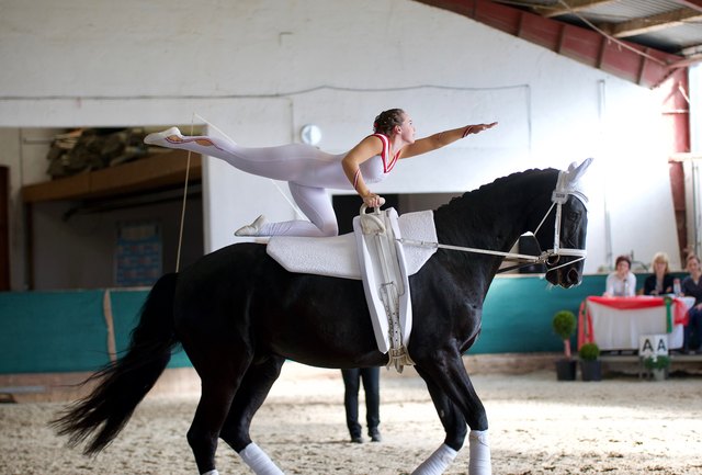 Katharina Furtner mit Pferd Rubinstar