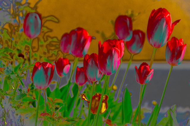 Foto: evelyn.resch@gmx.at