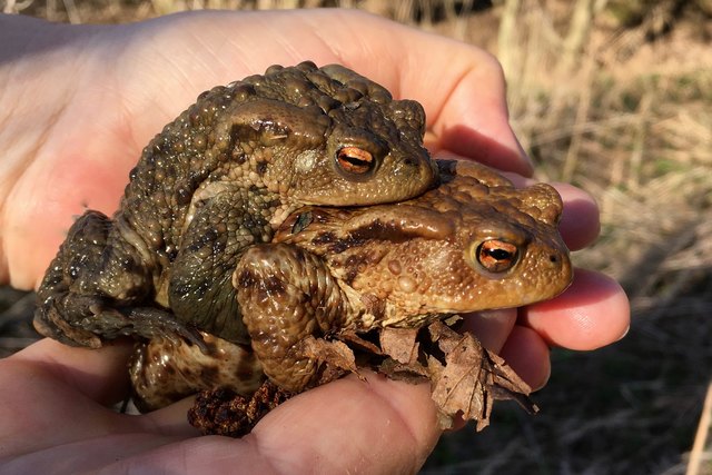 Foto: evelyn.resch@gmx.at