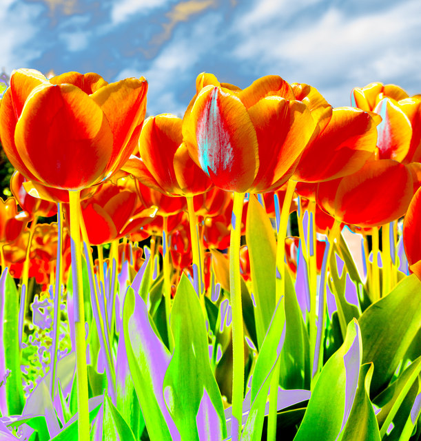 Foto: evelyn.resch@gmx.at